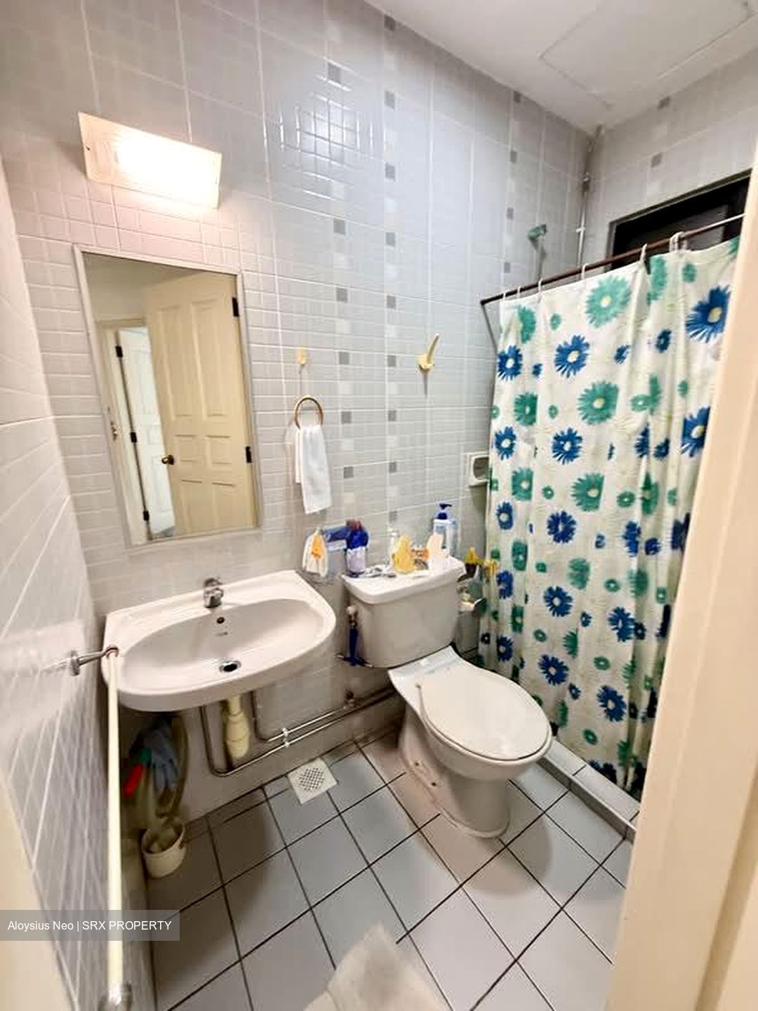 Limau Park (D16), Condominium #554131231